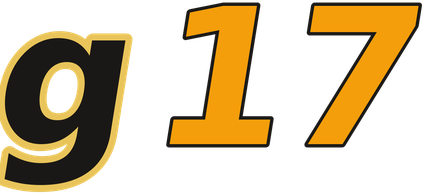 g17 logo